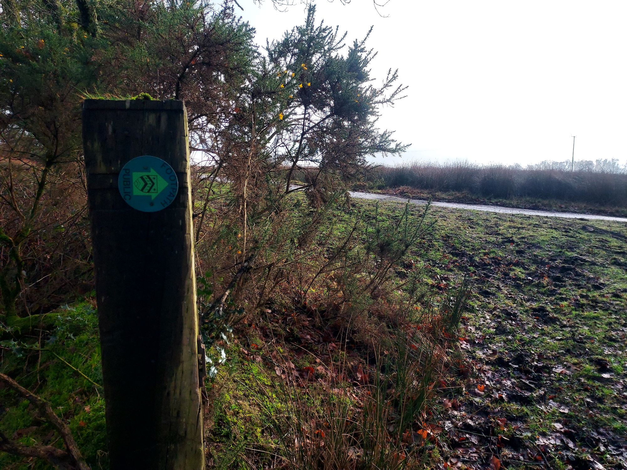 Footpath sign leading to farm lane