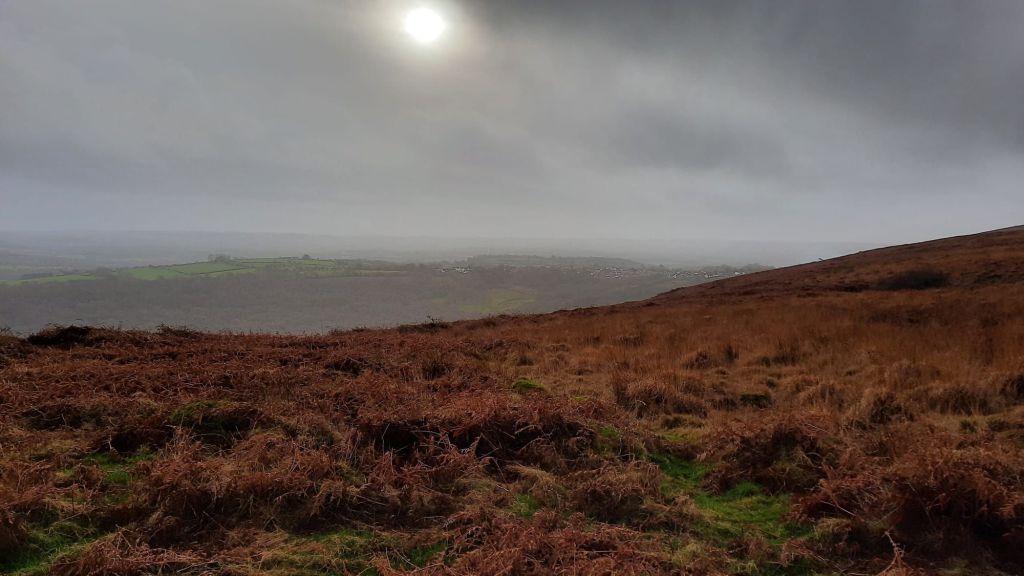 Wintry sun across a stark bracken covered mountain landscape