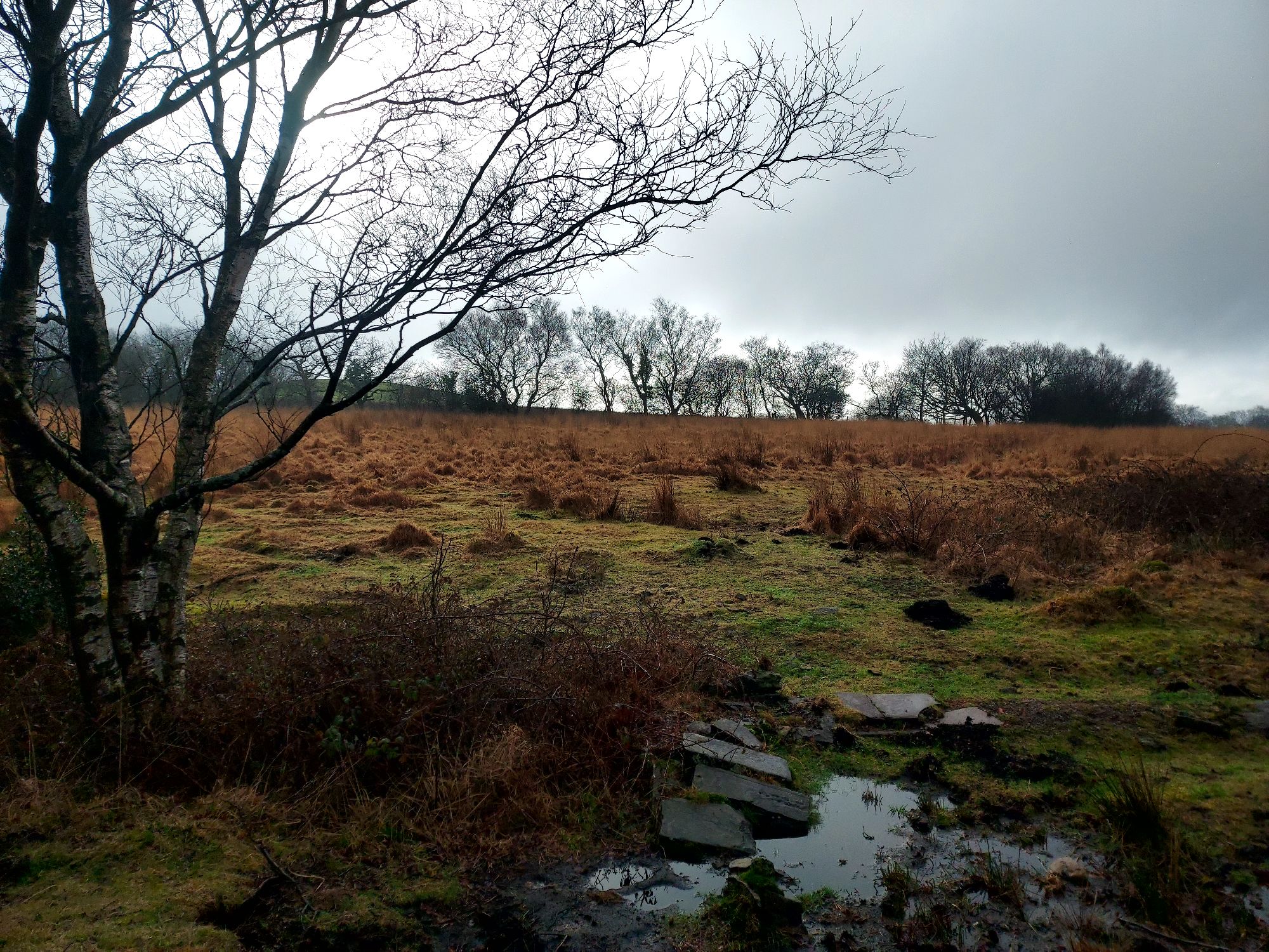 Winter moorland landscape with rocky stream in foreground