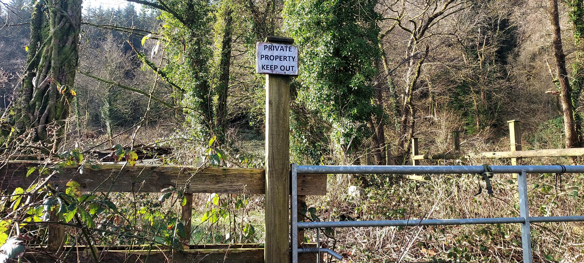Private property sign with sunlit tree trunks and tangled undergrowth beyond