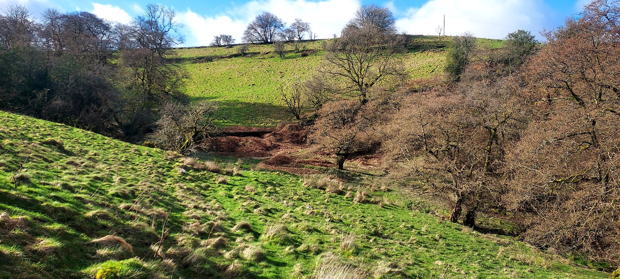 Pathways over early spring hilltops