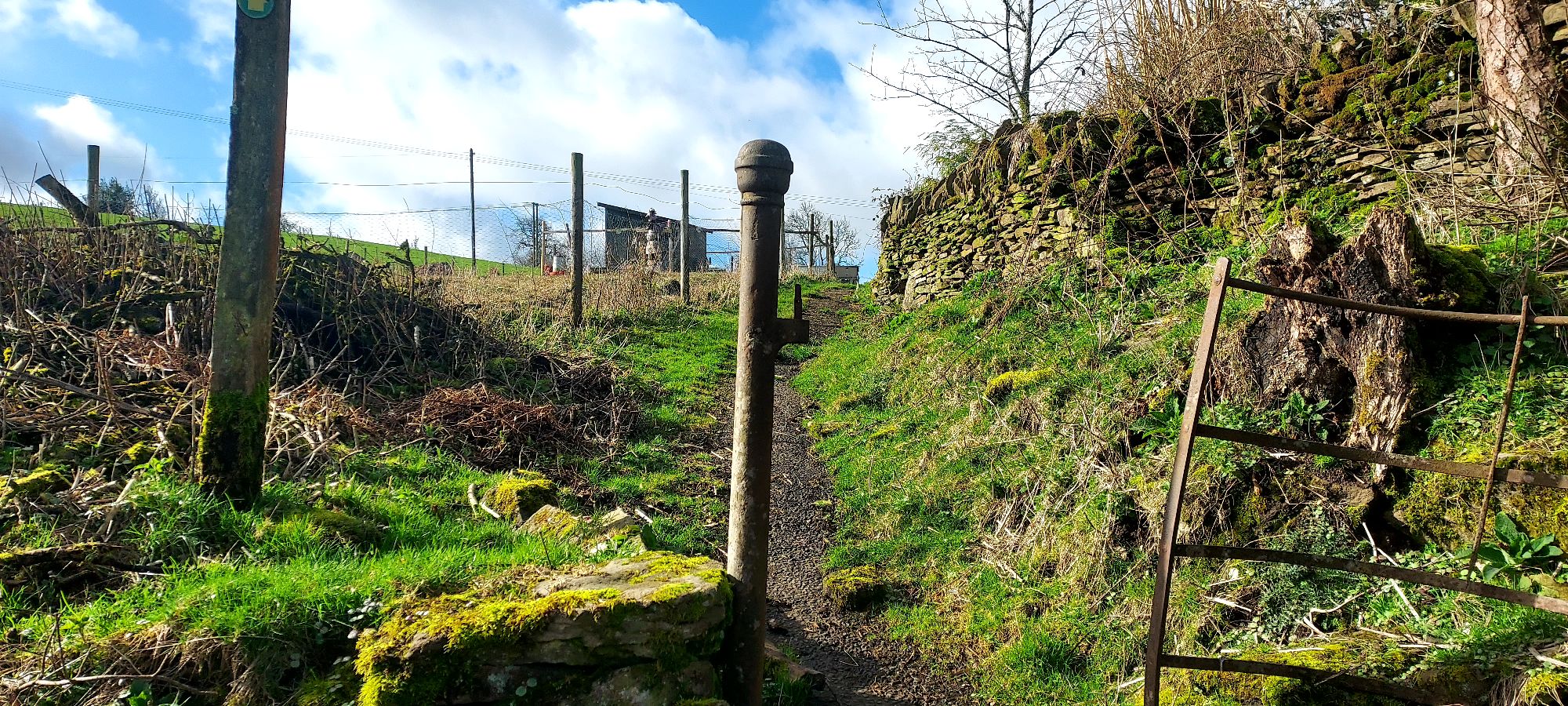 Gate showing path through farmland next to dry stone wall