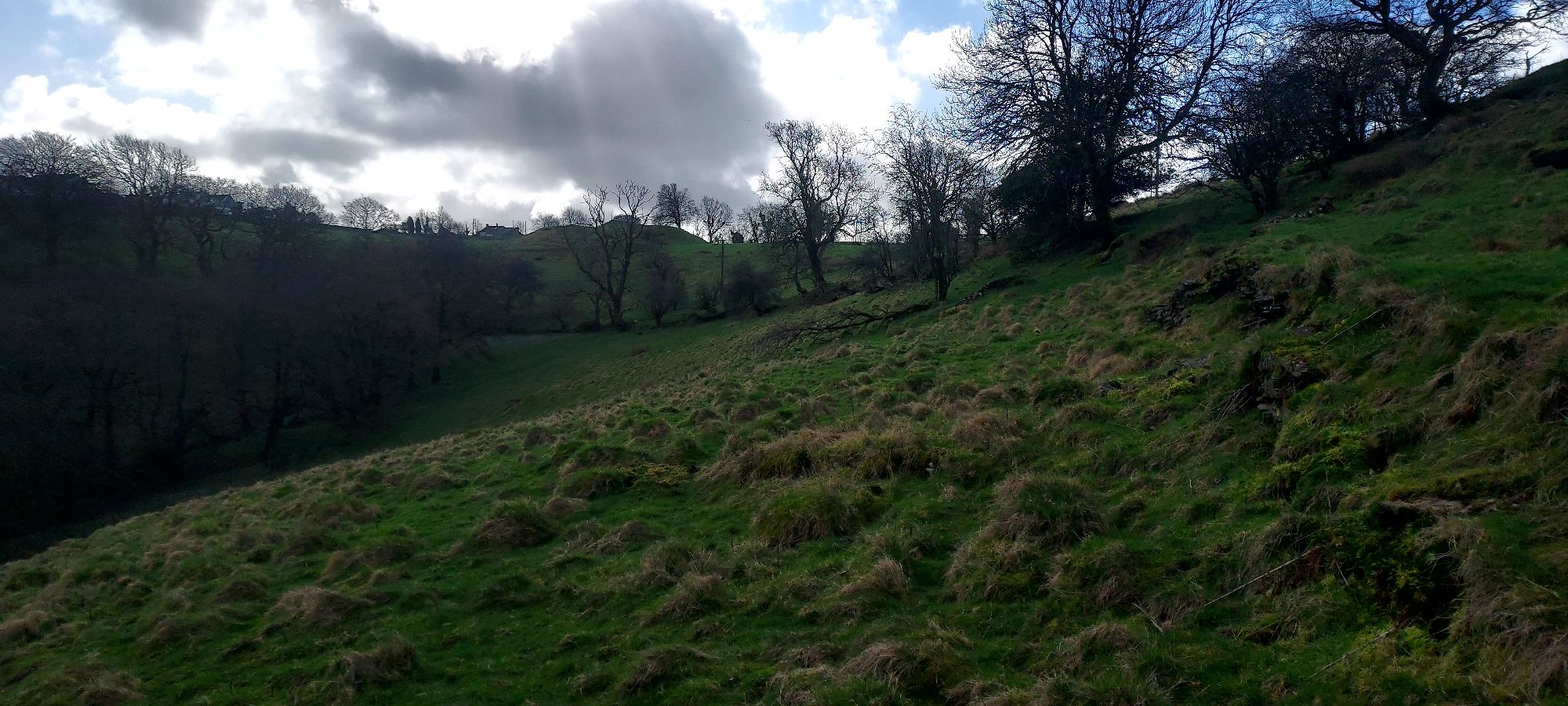 Light through dark clouds on open tussocky hilltop