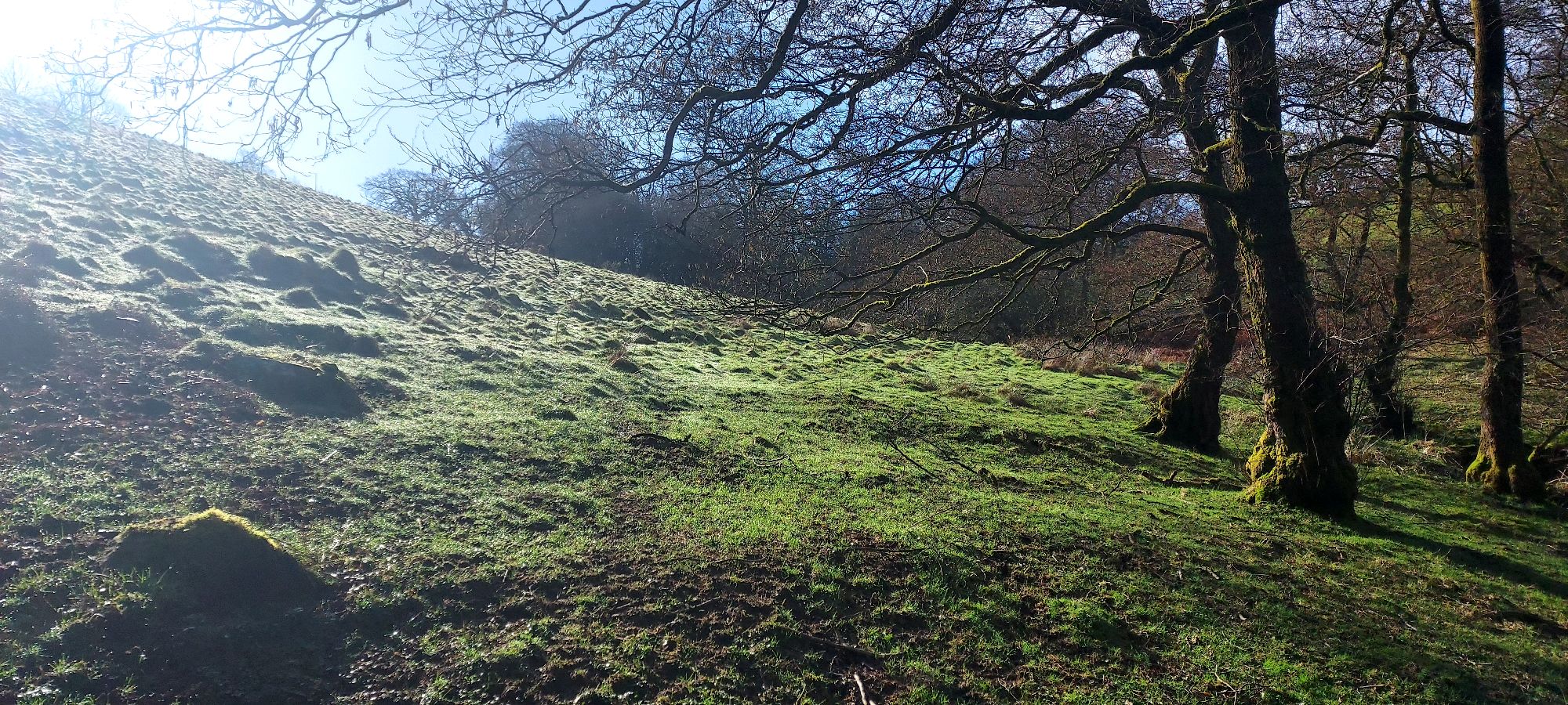 Morning sunshine on hilltop field in spring
