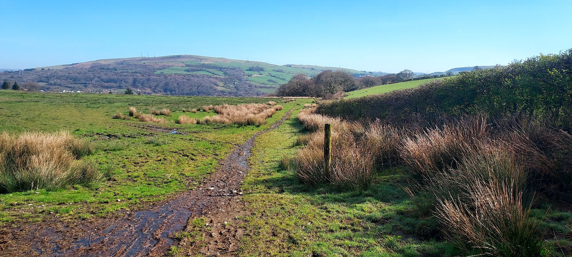 Pathway across open hillside with sunny mountaintops beyond