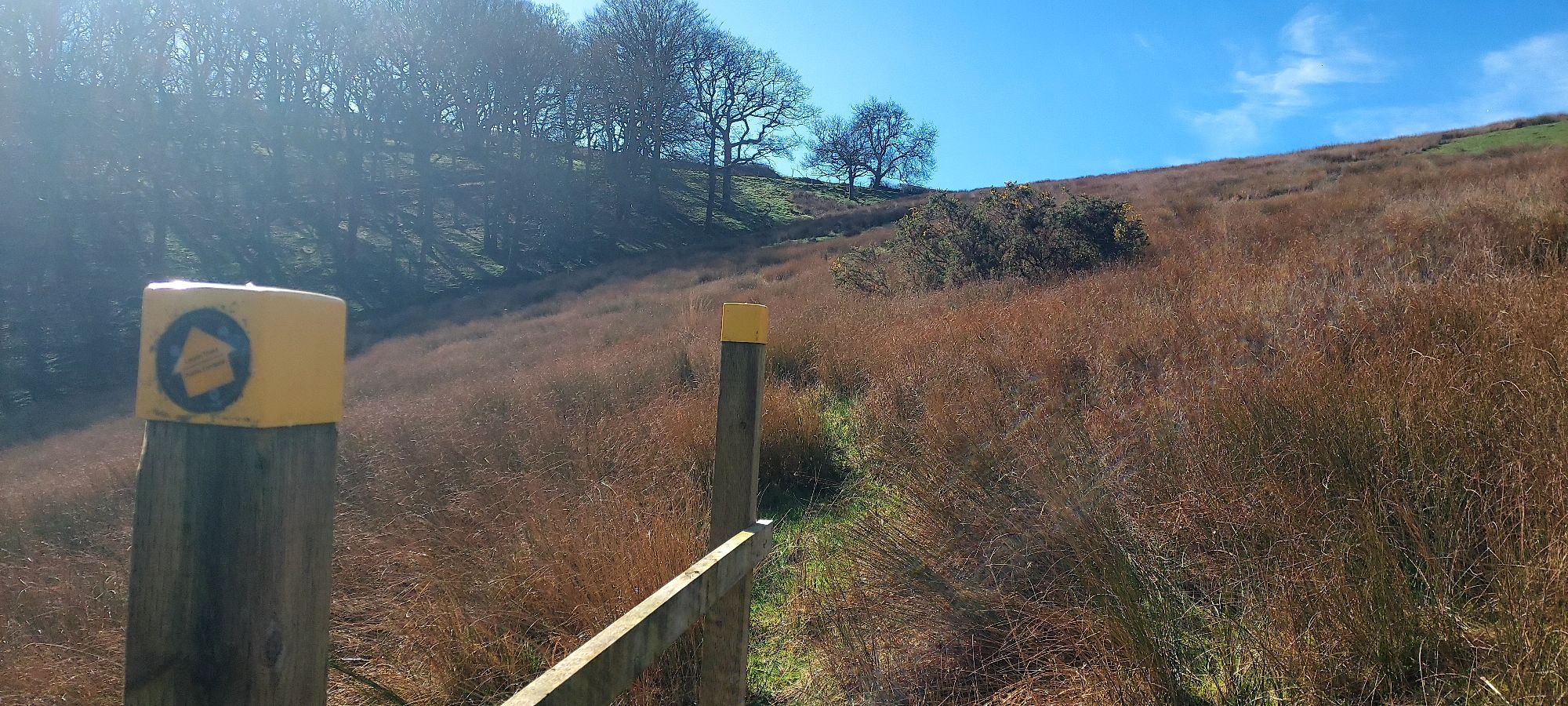 Footpath into long grass on hillside landscape