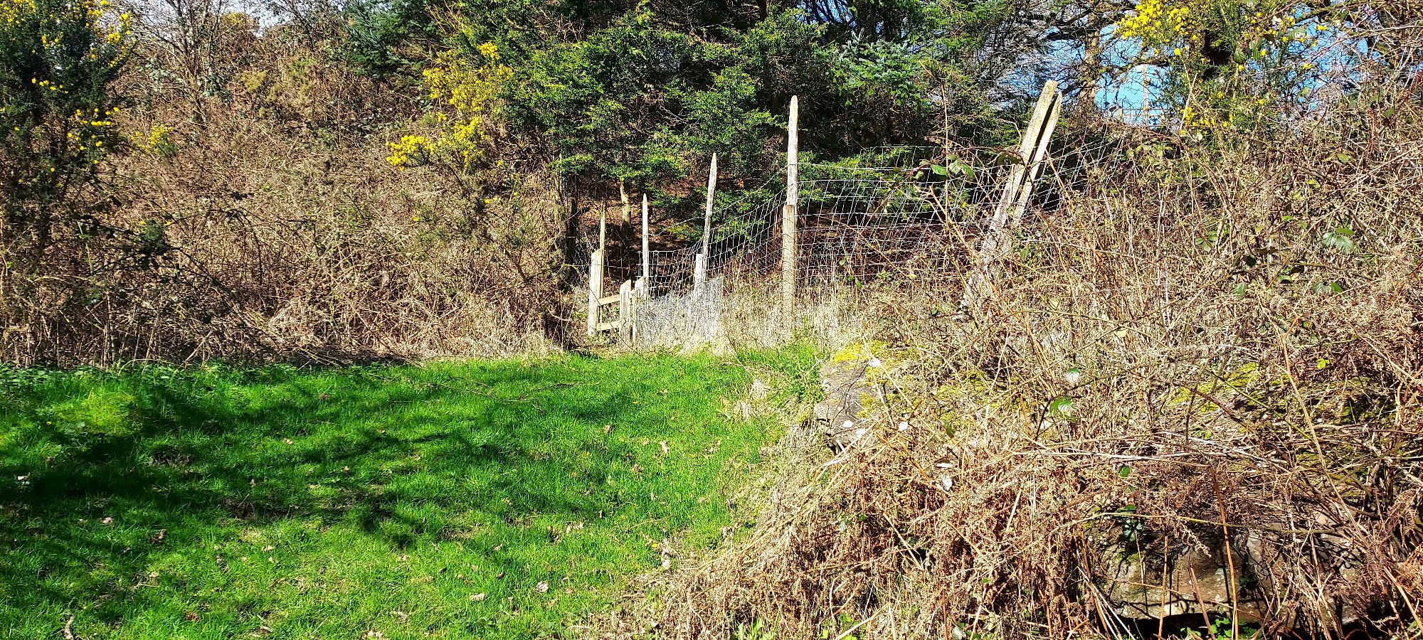Grass pathway up to a stile