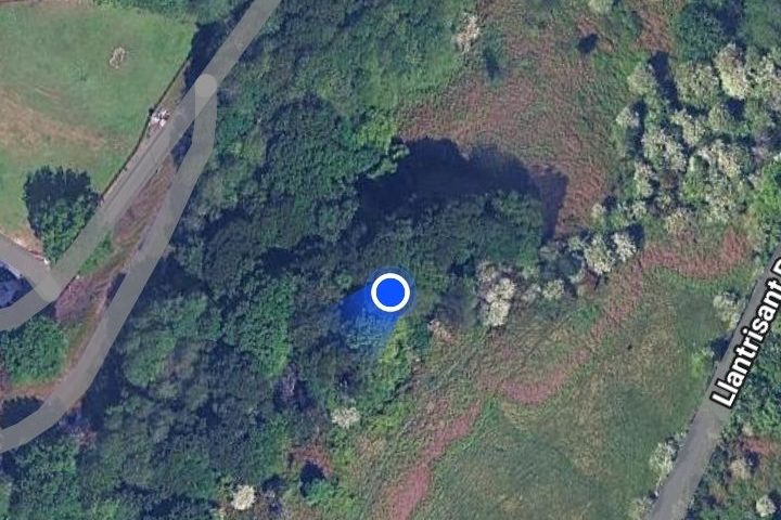 Point on a map showing a walk through a stretch of woodland