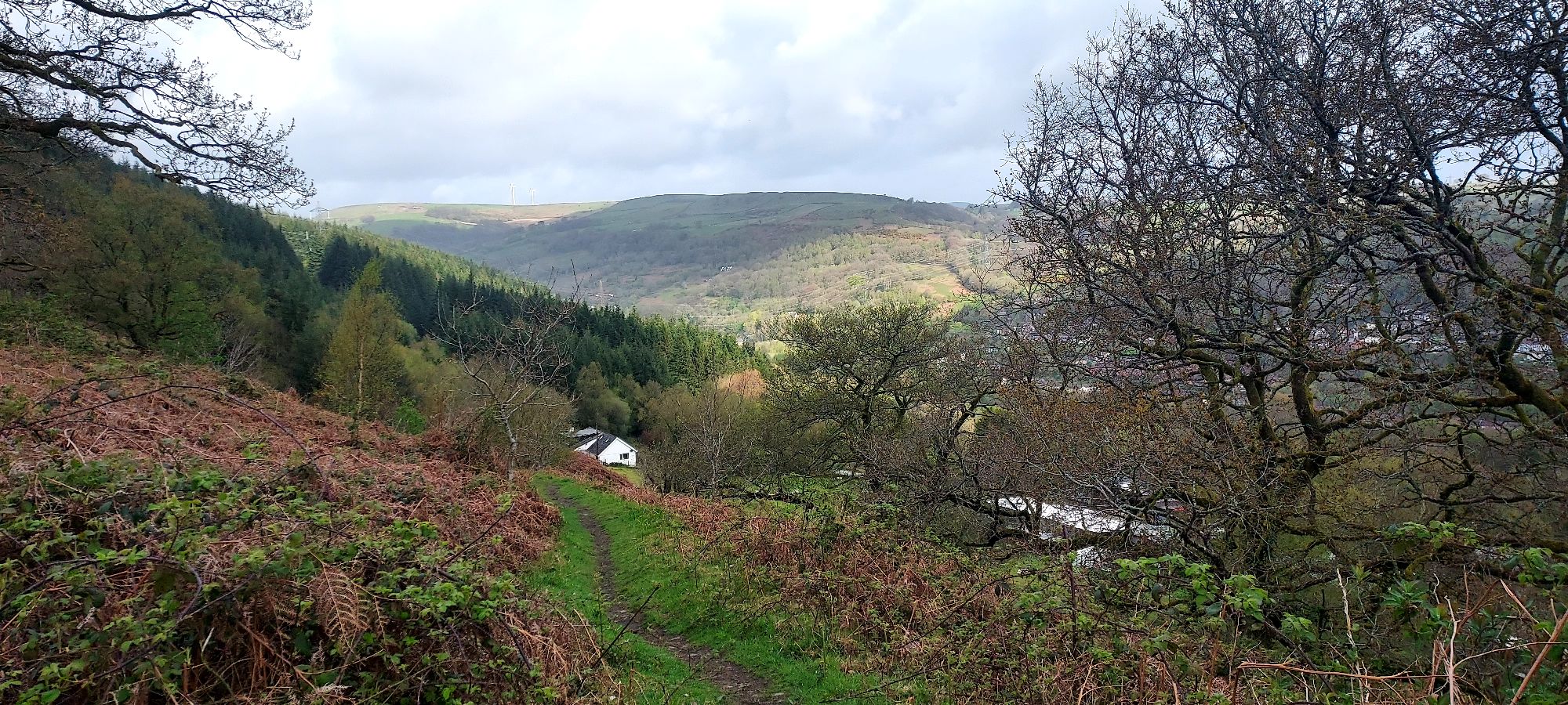 Hilltop path with forest ahead, light and shade on mountains beyond